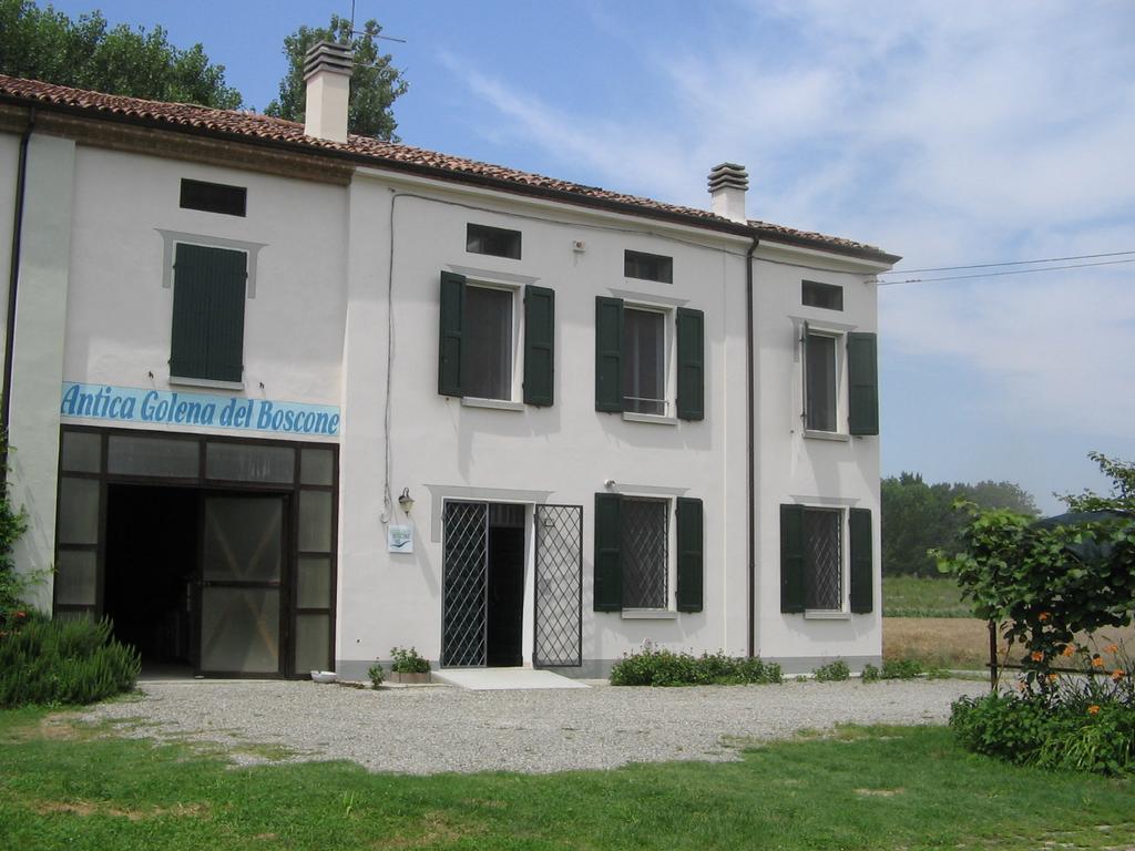 Agriturismo Antica Golena Guastalla Luaran gambar
