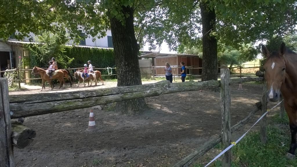 Agriturismo Antica Golena Guastalla Luaran gambar